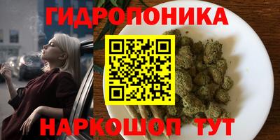 mdpv Новокубанск