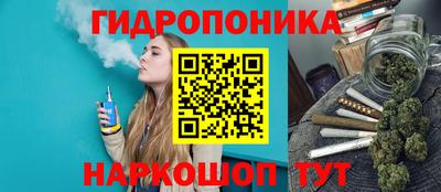 мяу мяу мука Новодвинск
