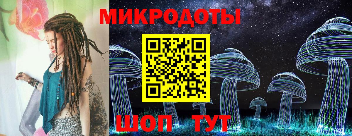 Унеча  Псилоцибиновые грибы Cubensis  Вход с VPN 